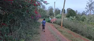 Nyeri Kerichu/Near Kagumo High School Quota Plots