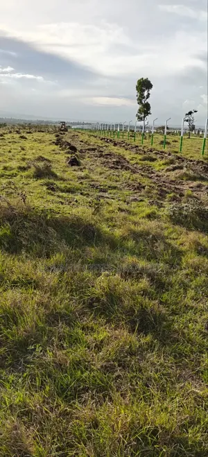 50 by 100 Plots for Sale in Tuala/Rangau-Rongai
