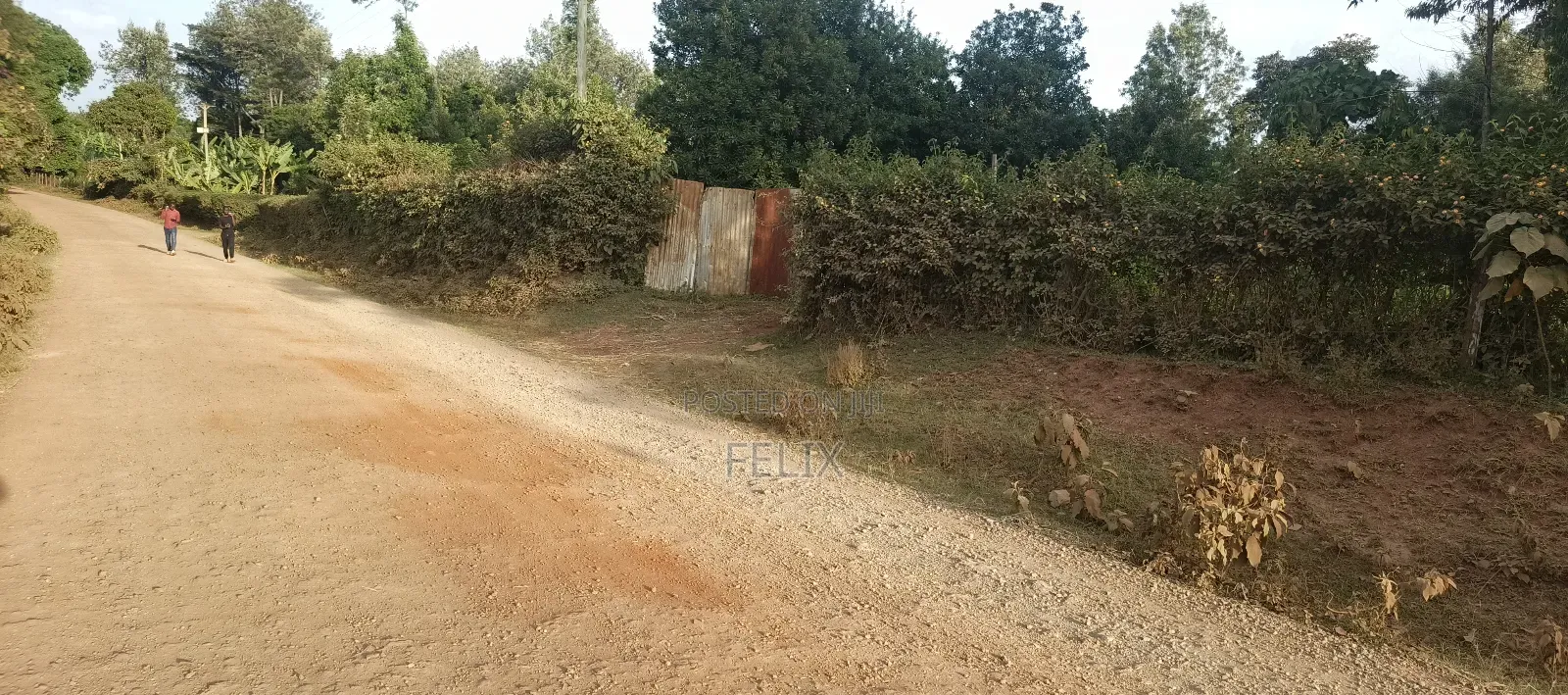 Nyeri/Gatitu Gichira 2 Acres