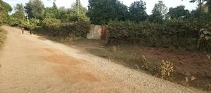 Nyeri/Gatitu Gichira 2 Acres