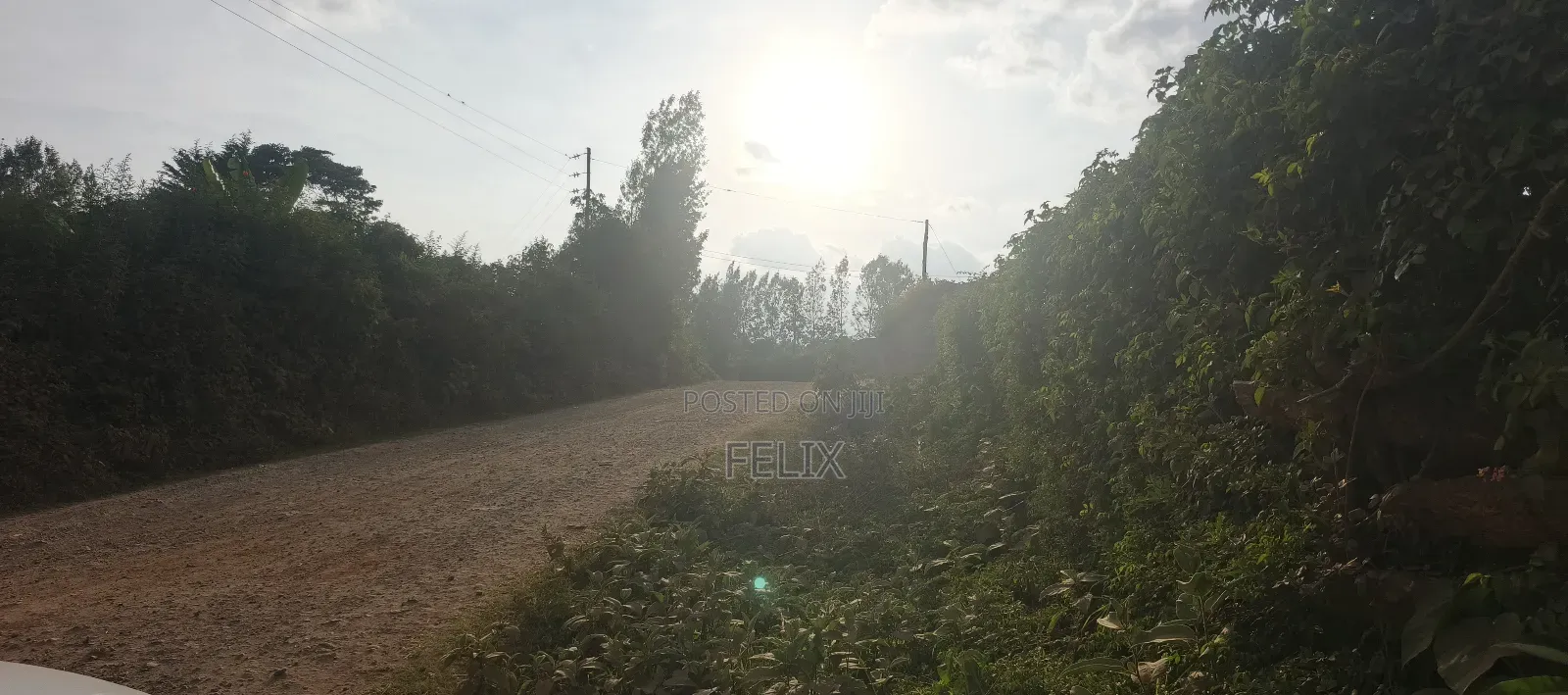 Nyeri/Gatitu Gichira 2 Acres