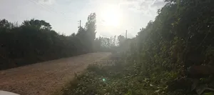 Nyeri/Gatitu Gichira 2 Acres