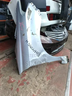 Axio 165 Fender/Wing