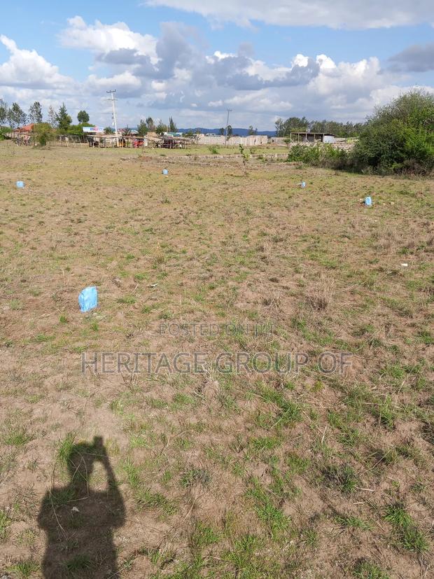 Prime Plots 50x100 - main view