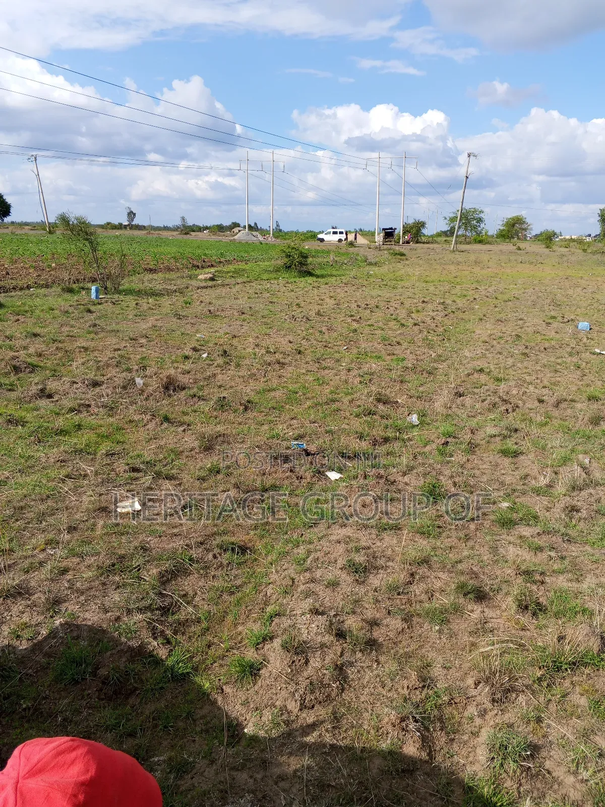 Prime Plots 50x100
