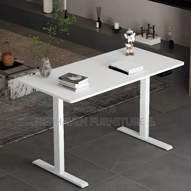 Silent Dual-Motor Electric Desk for Office/Home