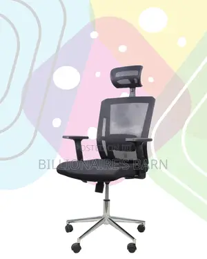 Sleek Mesh Chair With Chrome Base | Designed for Long Hours