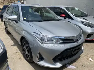 Toyota Corolla Fielder 2018 Silver