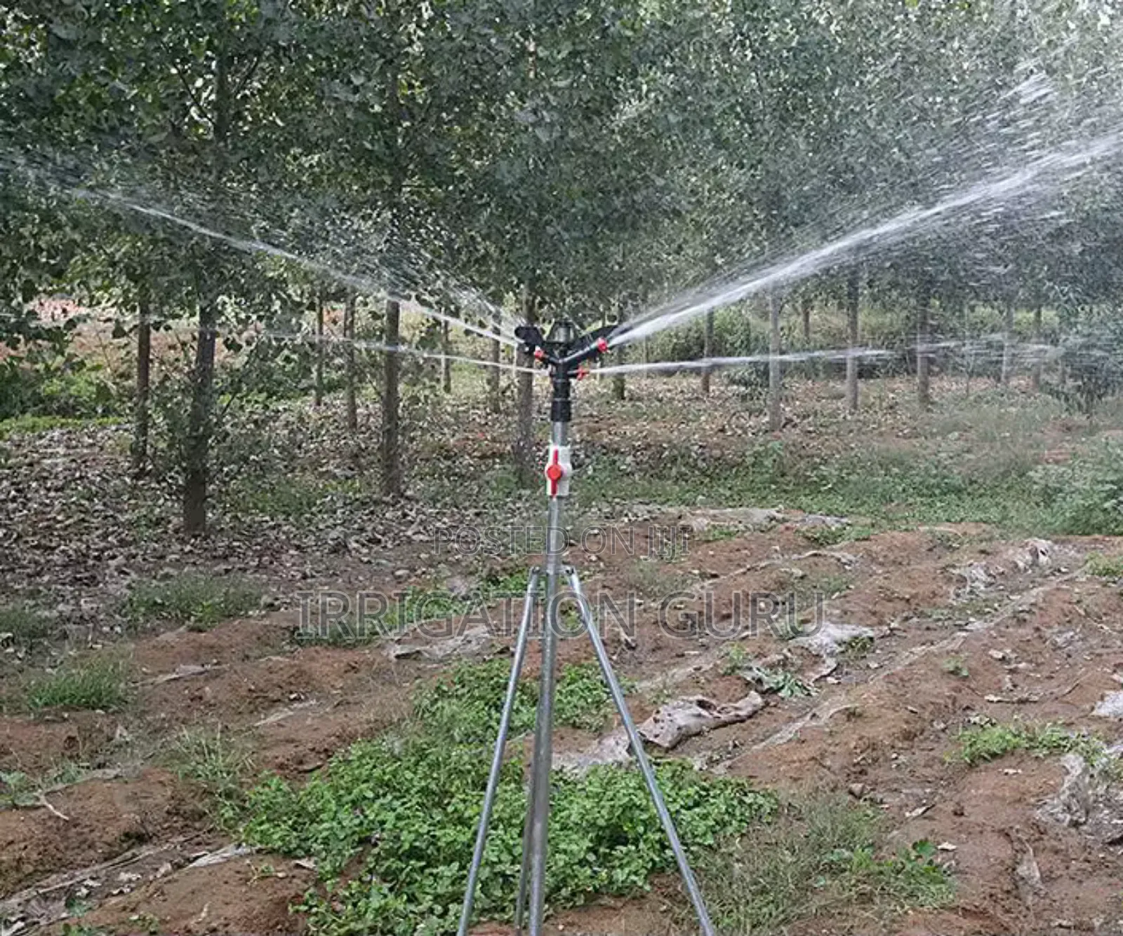 13-15 Meters Radius of Sprinkler