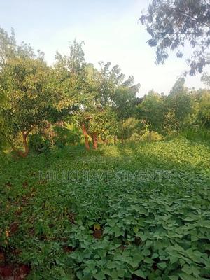 An of Land Is on Sale at Kenol Town