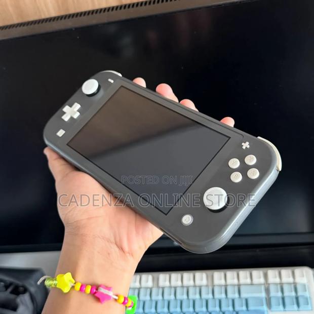 Nintendo Switch Lite Gray - main view