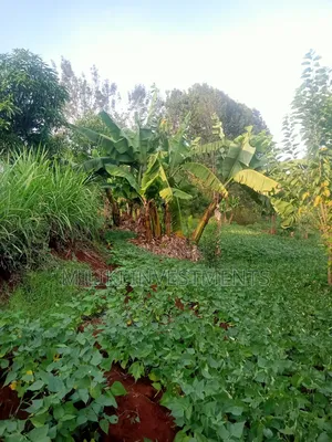 An of Land Is on Sale at Kenol Town