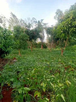 An of Land Is on Sale at Kenol Town