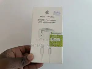 iPhone Charger