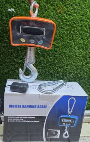 Hanging /Crane /Spring Weighing Scale 1tonne