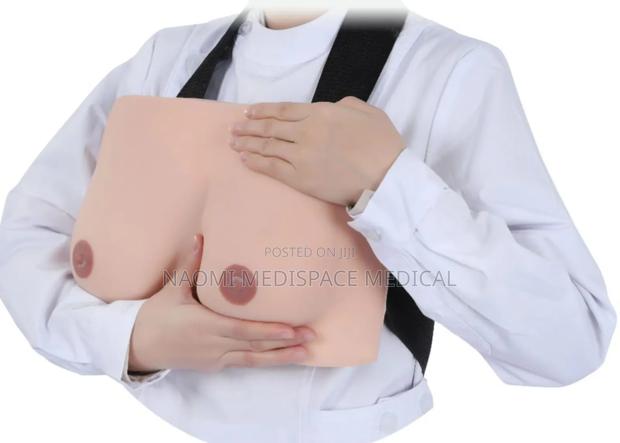 Silicone Breast Model/Breast Training Model - main view