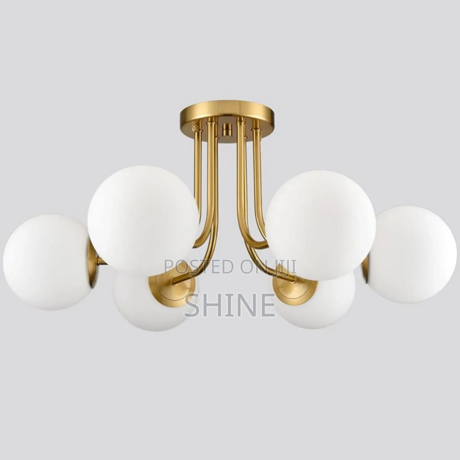 6 Hold Ceiling Light
