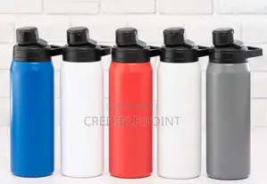 Stainless Steel Flasks