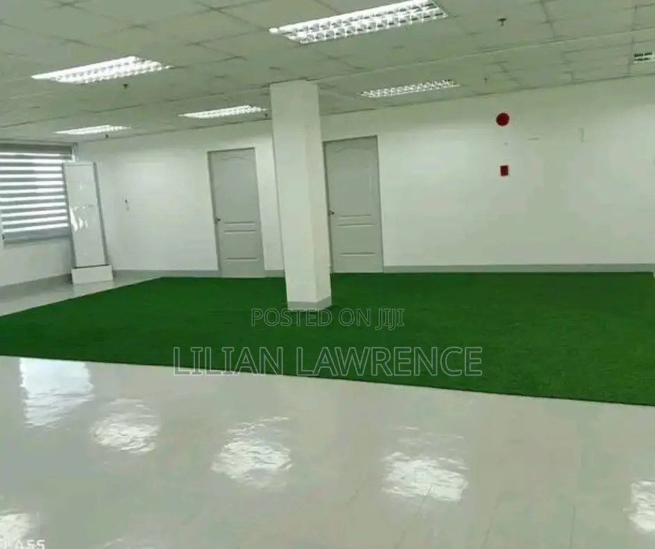 Playground/Artificial Grass Carpets