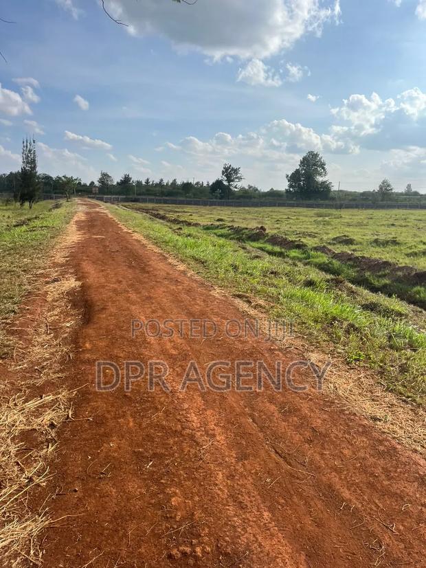 Fully Serviced 1/4 Acre Along Kenyatta Road - thumbnail 4