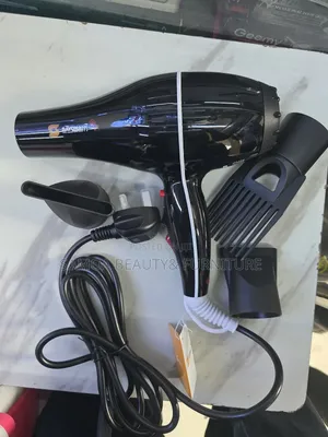 Sayona Hair Dryer