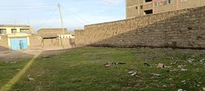 Prime Plot - main view