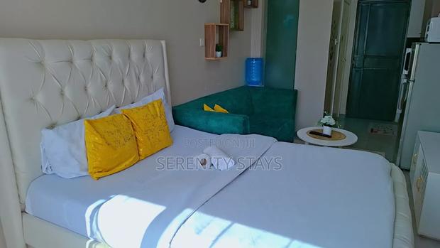 Studio Airbnb Apartment – Tsavo Studios, Fedha (Embakasi)