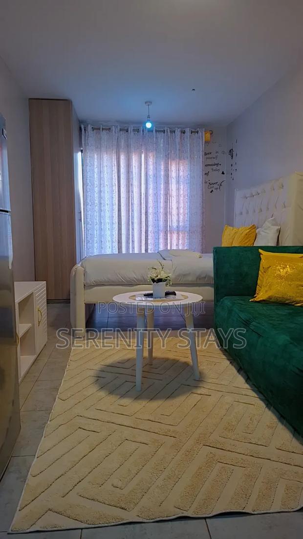Studio Airbnb Apartment – Tsavo Studios, Fedha (Embakasi) - thumbnail 2