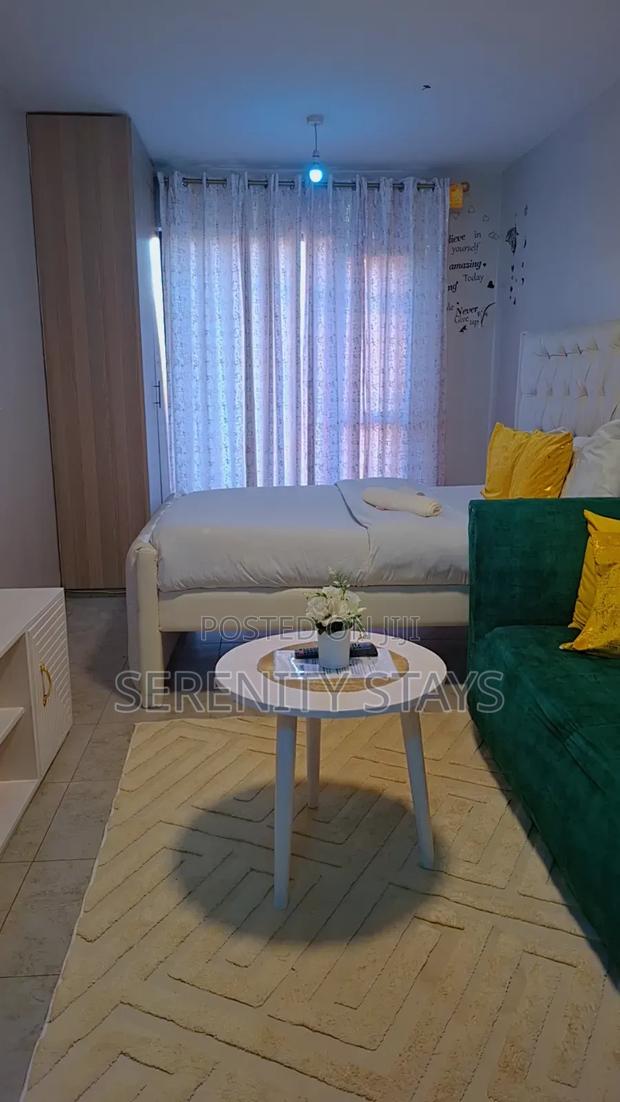 Studio Airbnb Apartment – Tsavo Studios, Fedha (Embakasi) - thumbnail 3