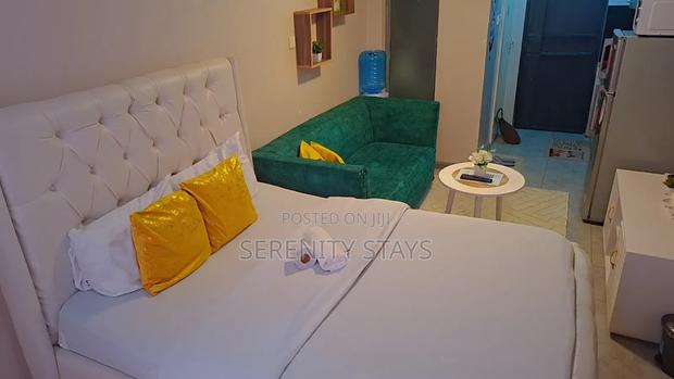 Studio Airbnb Apartment – Tsavo Studios, Fedha (Embakasi) - thumbnail 6