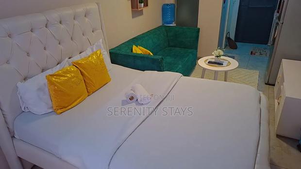Studio Airbnb Apartment – Tsavo Studios, Fedha (Embakasi) - thumbnail 8