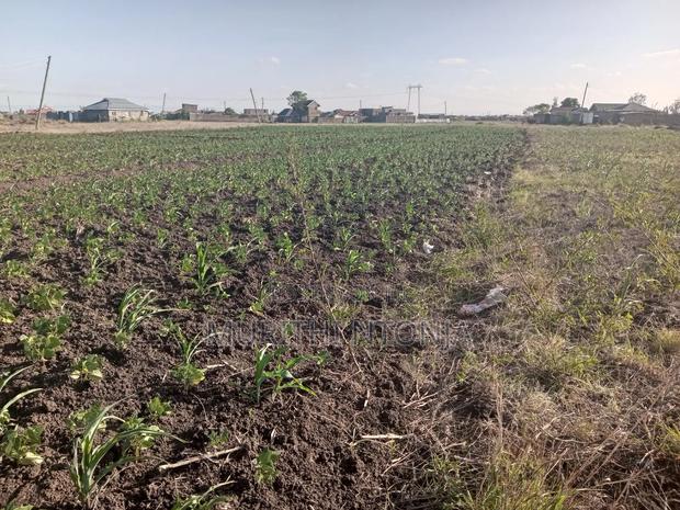 Ruiru Kimbo Plots for Sale - thumbnail 3