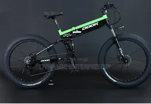 Electric Bike