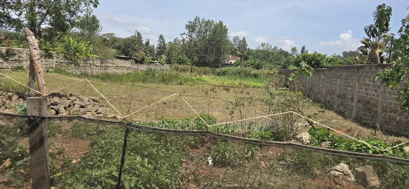 Half an Acre for Sale in Thika