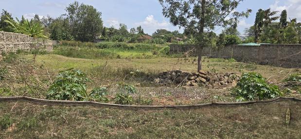 Half an Acre for Sale in Thika - thumbnail 6