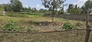 Half an Acre for Sale in Thika