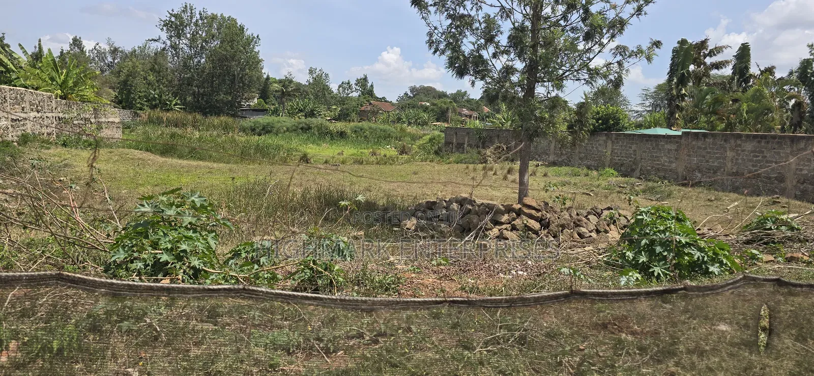 Half an Acre for Sale in Thika