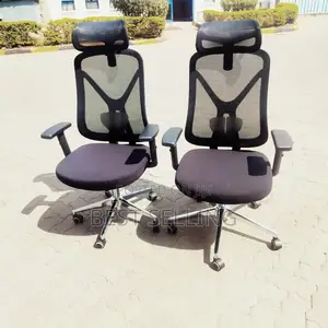 Ergonomic Office Chair