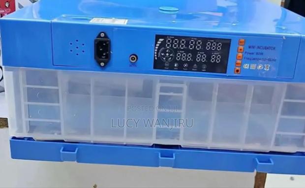 Professional 64 Egg Incubator