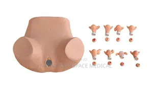 Advanced Gynecological Model/Gynecological Manikin