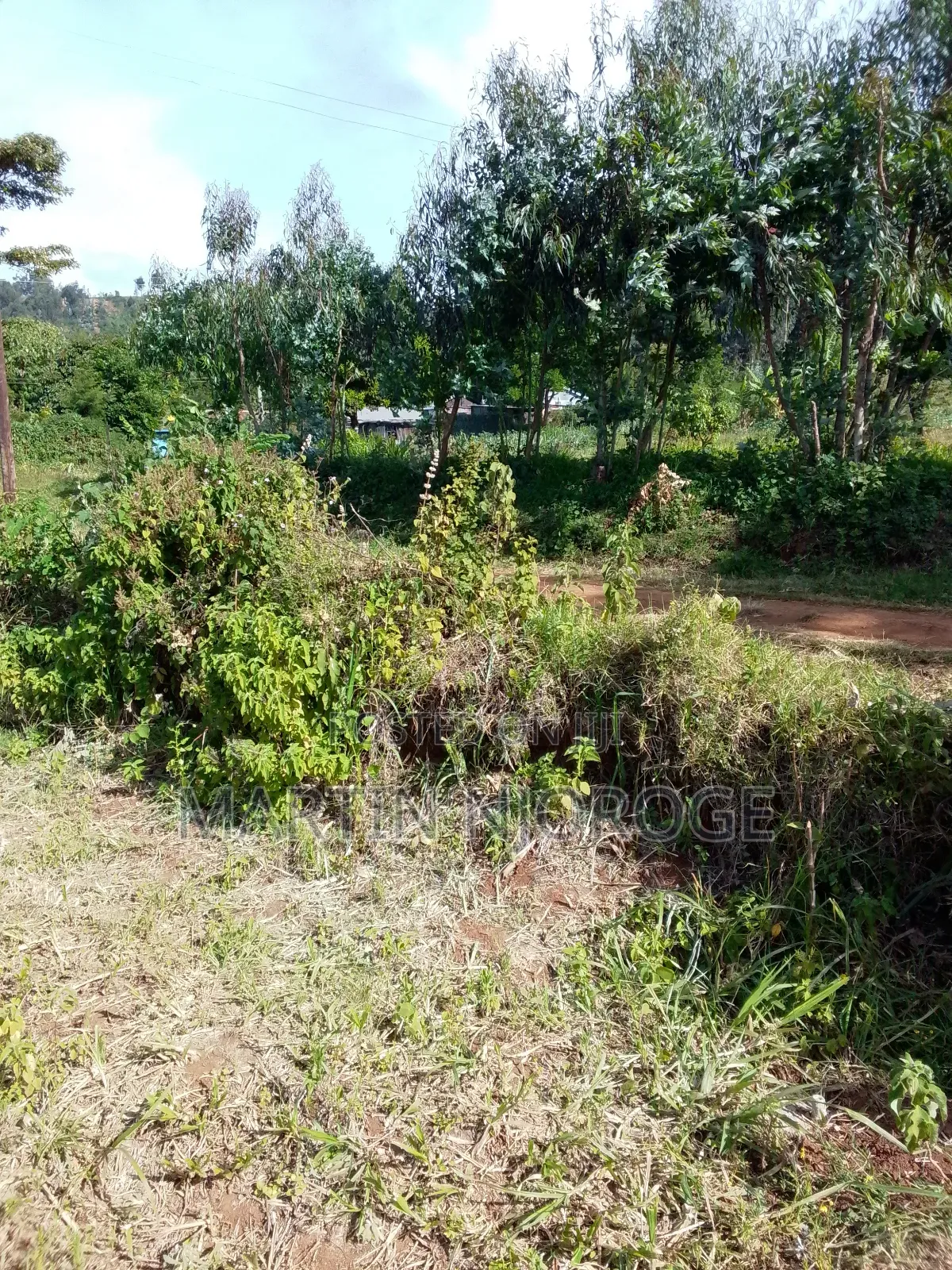 50 by 100 Escarpment, Lari