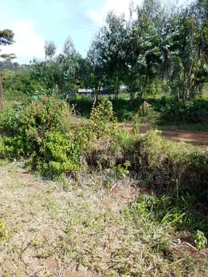 50 by 100 Escarpment, Lari