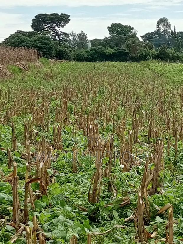 3⁄4 Acre Plot Nyambari - main view