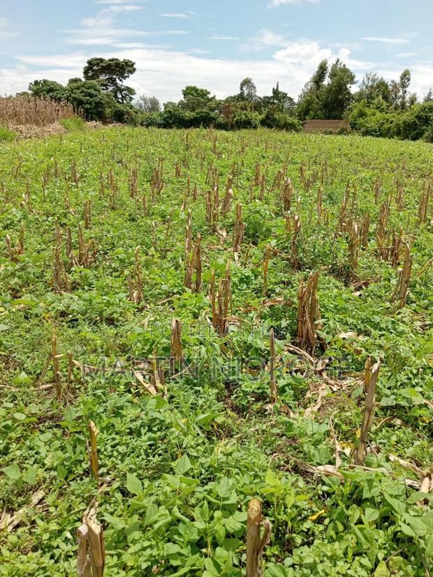 3⁄4 Acre Plot Nyambari - thumbnail 2