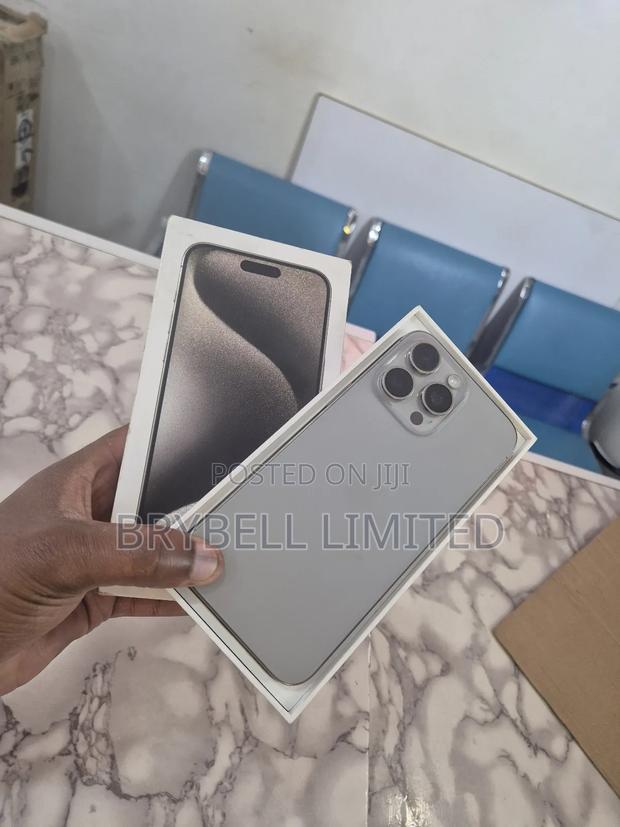 Apple iPhone 15 Pro Max 256 GB Silver - thumbnail 7