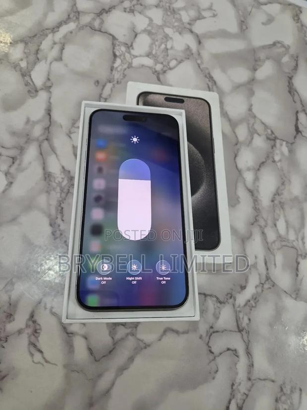 Apple iPhone 15 Pro Max 256 GB Silver - thumbnail 12