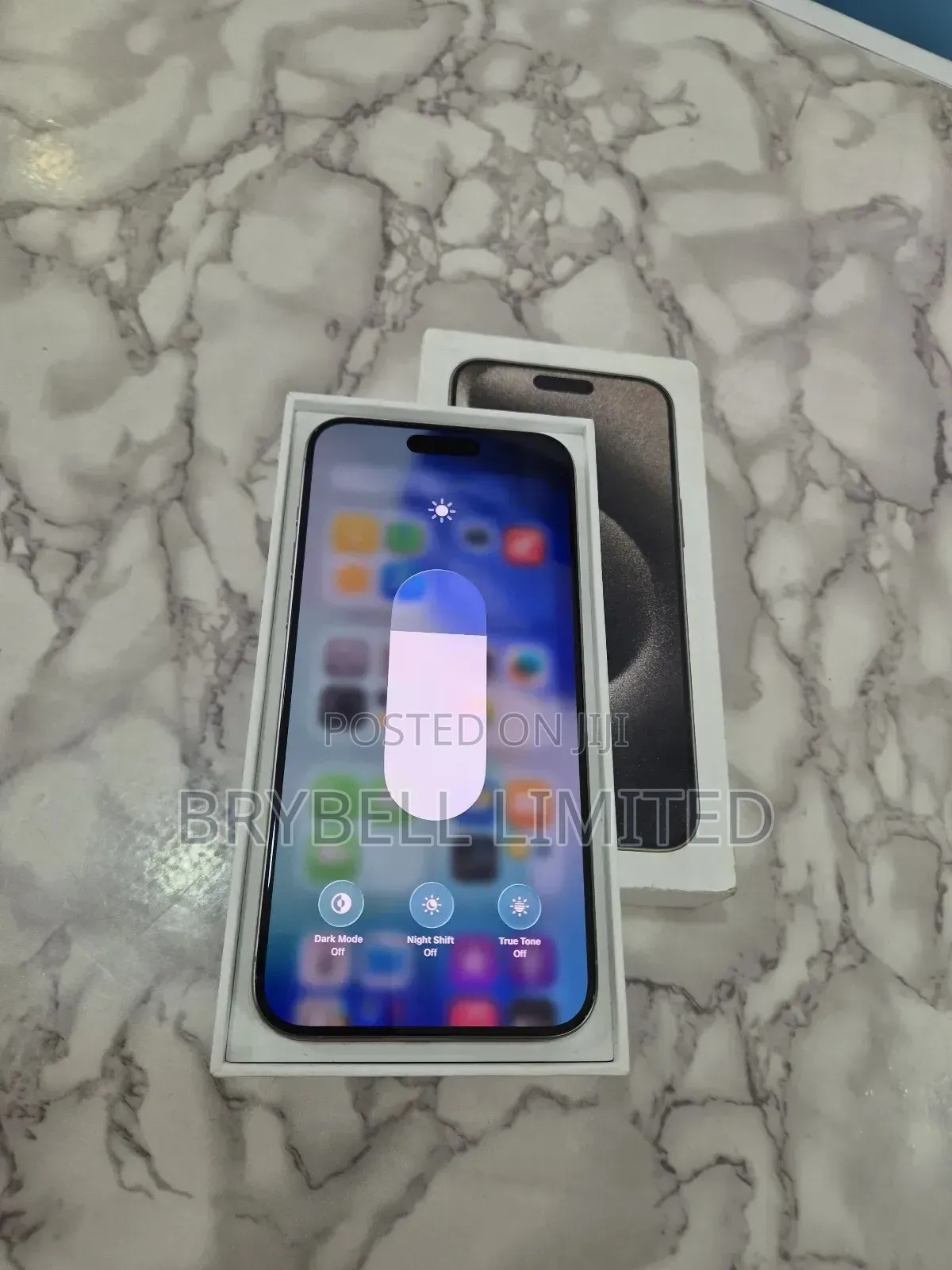 Apple iPhone 15 Pro Max 256 GB Silver