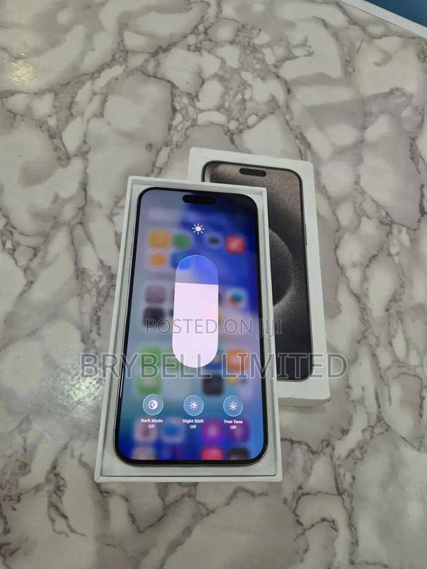 Apple iPhone 15 Pro Max 256 GB Silver - thumbnail 11