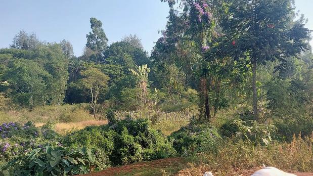 Land for Sale - thumbnail 4