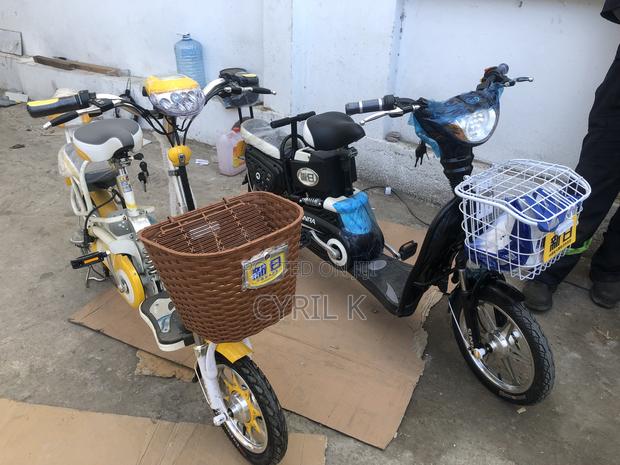 Ebike Bicycle - main view